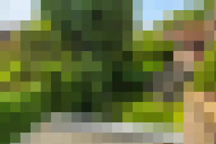Hoflaan 39 Wassenaar thumbnail 28