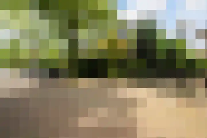 Hoflaan 39 Wassenaar thumbnail 47