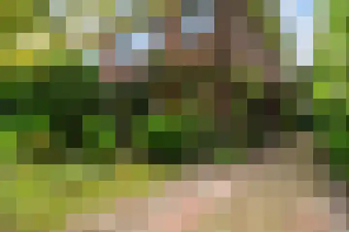 Hoflaan 39 Wassenaar thumbnail 48