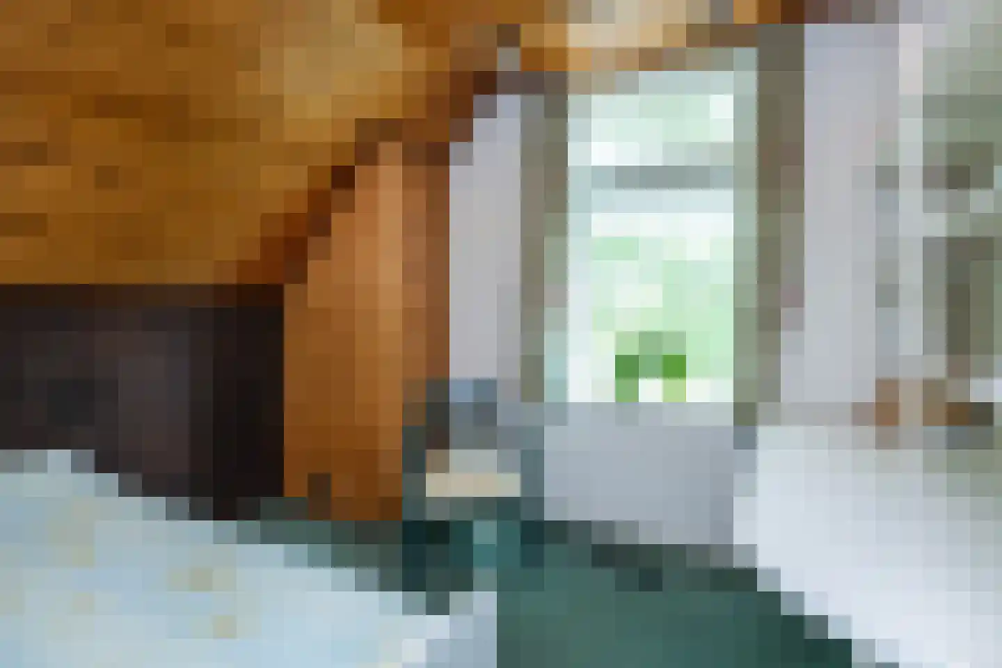Hoflaan 40 Middelharnis thumbnail 21