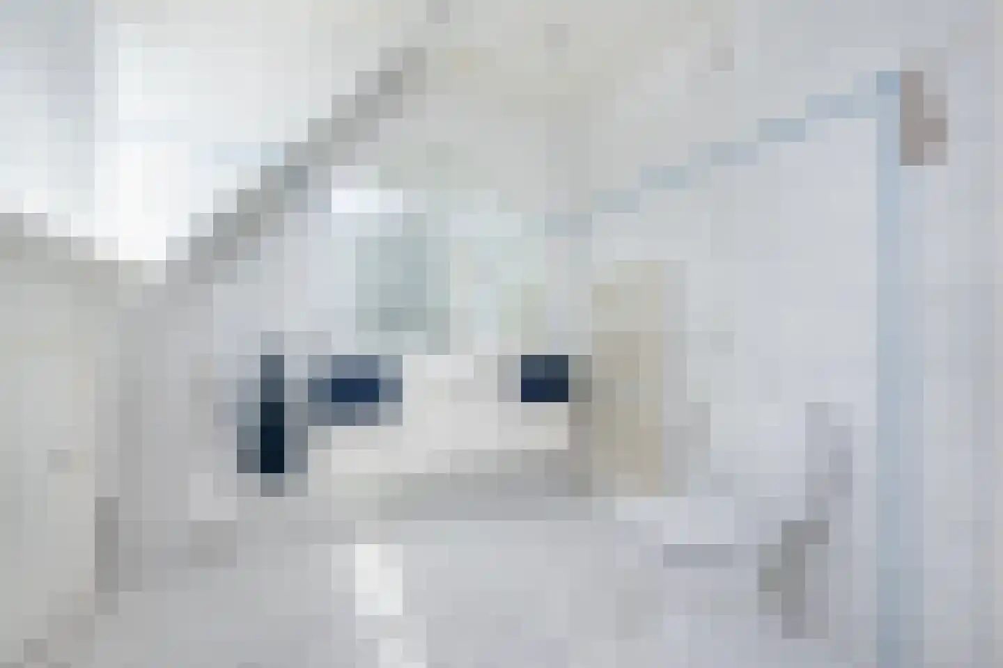 Hoflaan 40 Middelharnis thumbnail 24