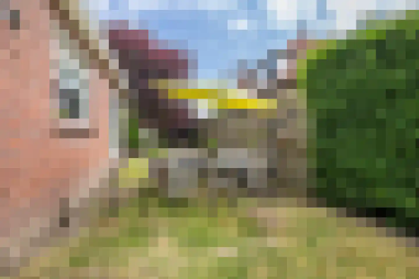 Hoflaan 40 Middelharnis thumbnail 30