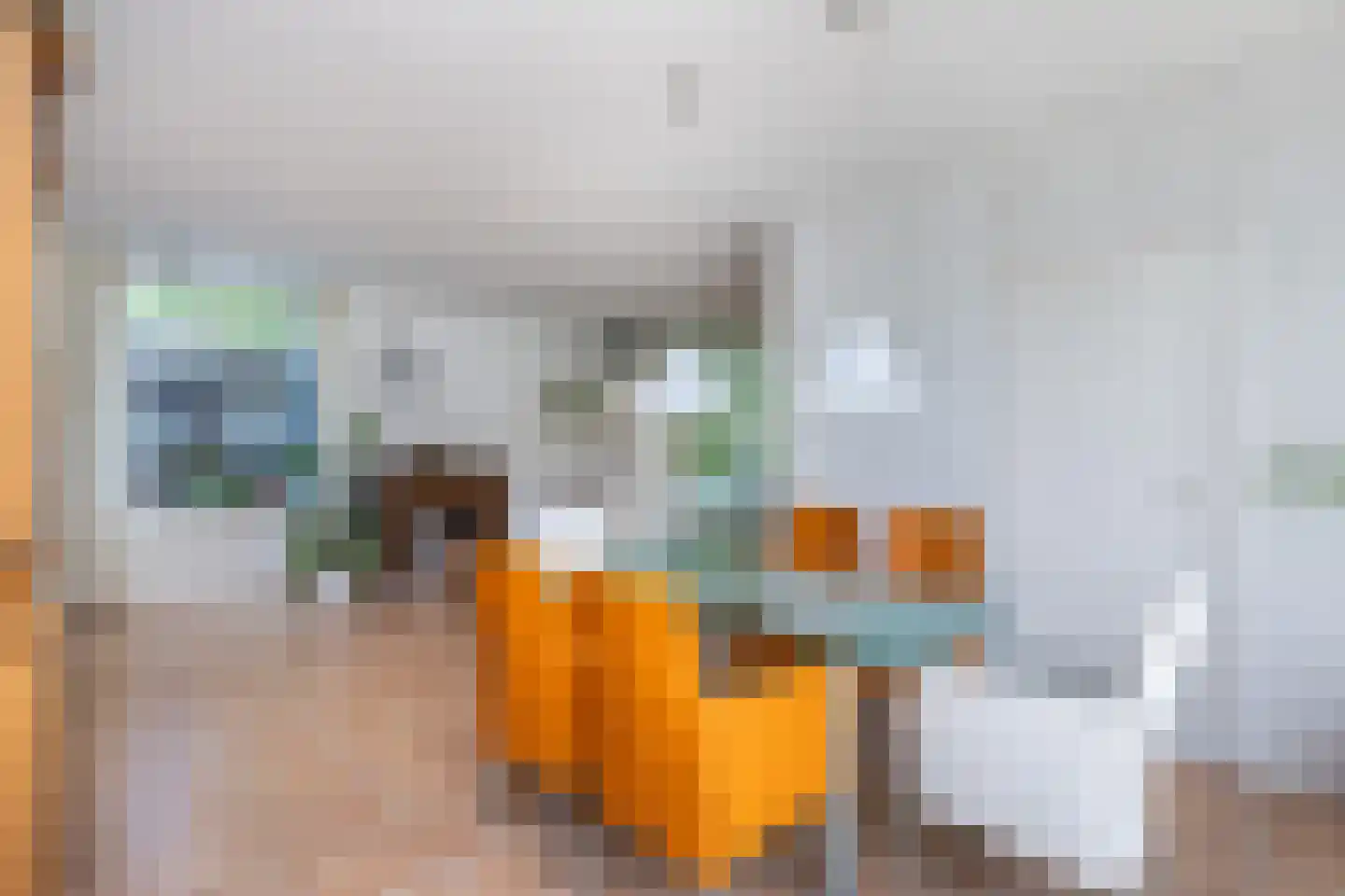 Hoflaan 40 Middelharnis thumbnail 9