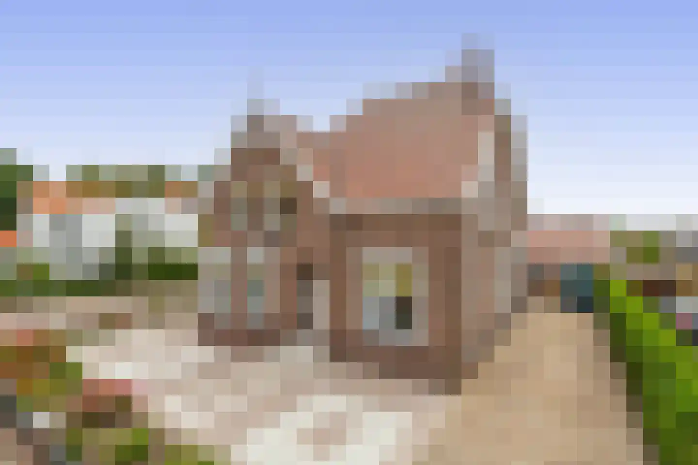 Hoflaan 47 Middelharnis thumbnail 10