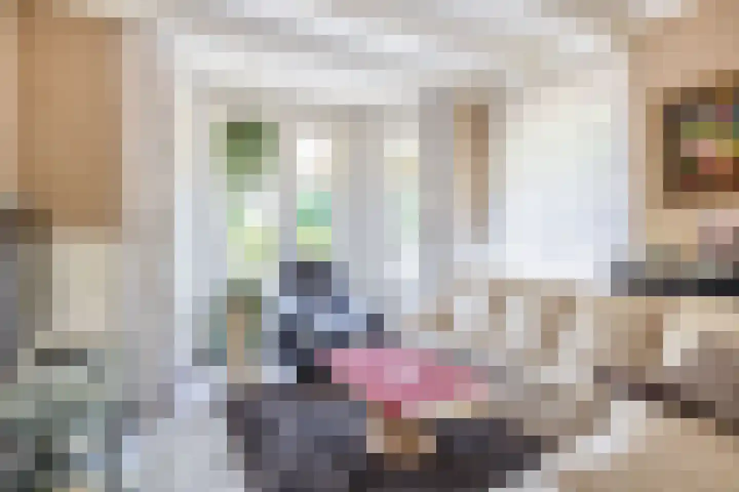 Hoflaan 47 Middelharnis thumbnail 14