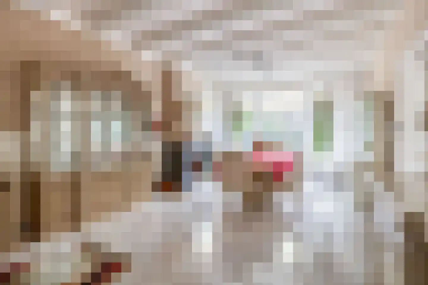 Hoflaan 47 Middelharnis thumbnail 17