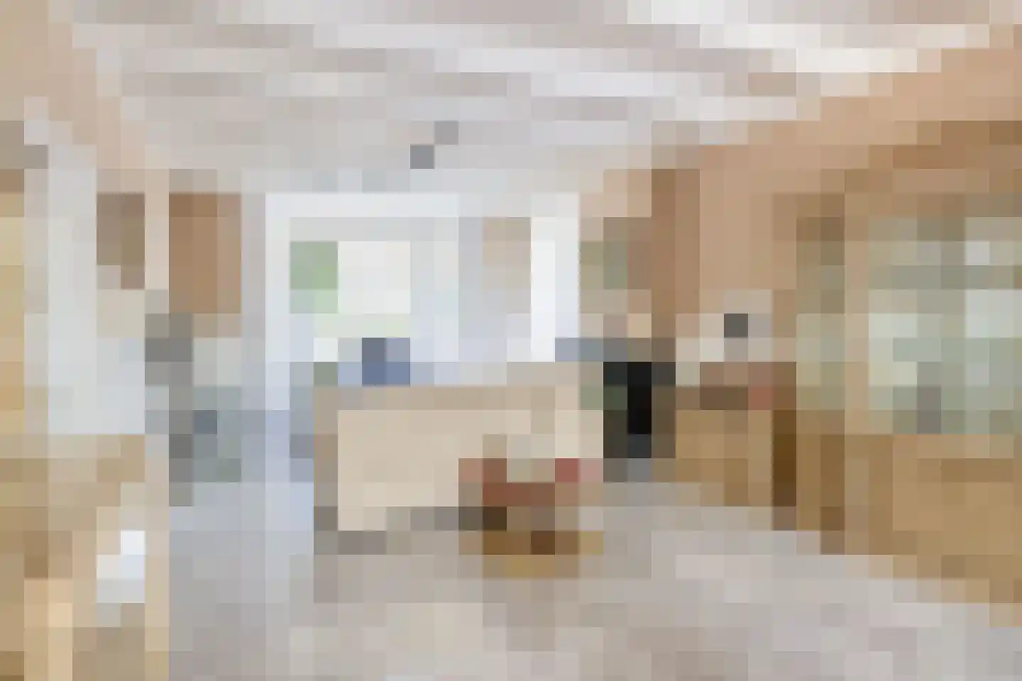 Hoflaan 47 Middelharnis thumbnail 20
