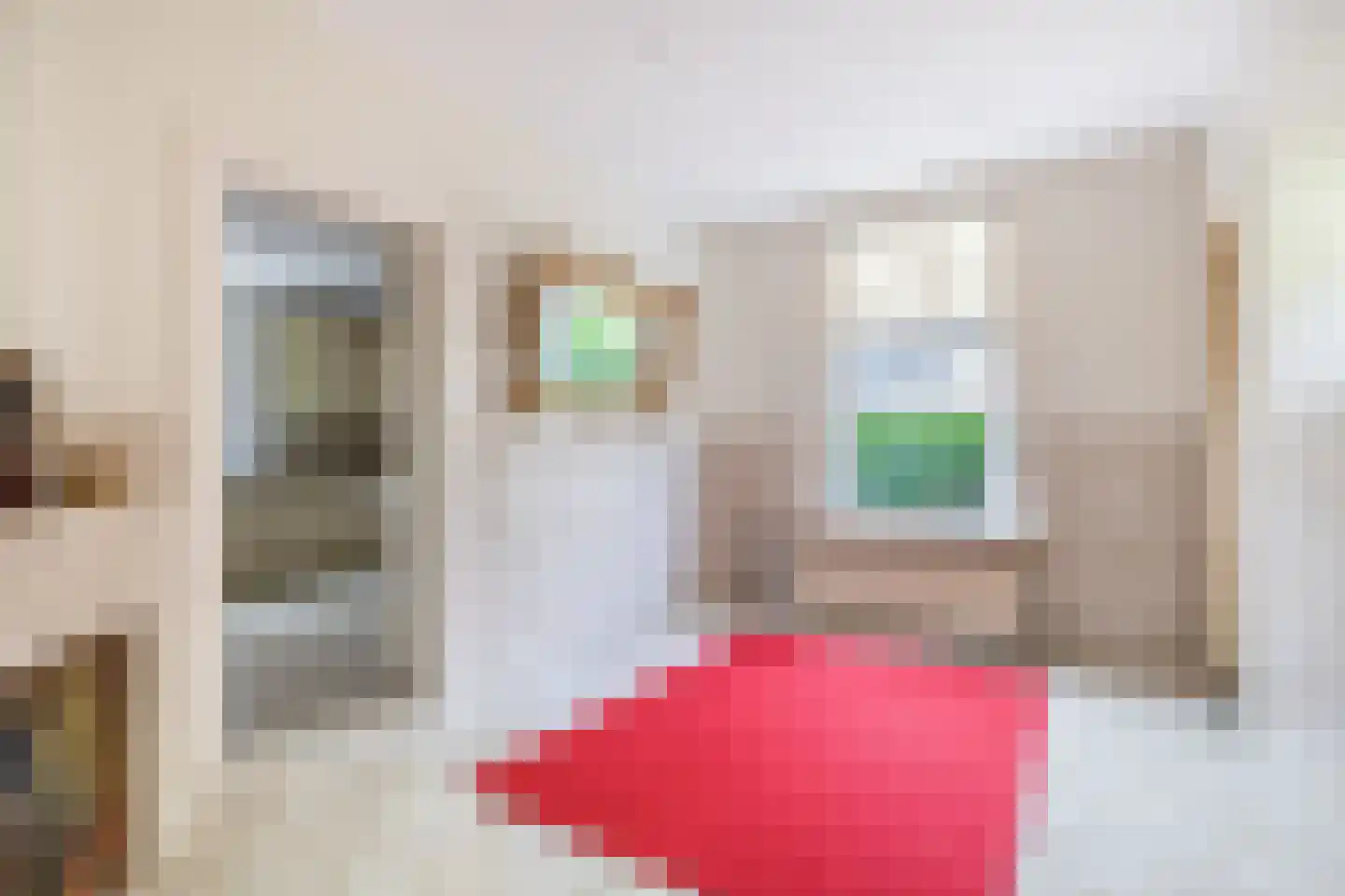 Hoflaan 47 Middelharnis thumbnail 21