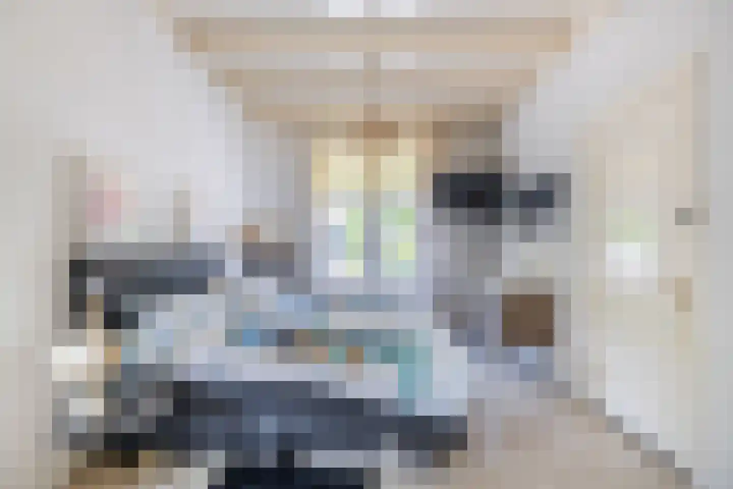 Hoflaan 47 Middelharnis thumbnail 25