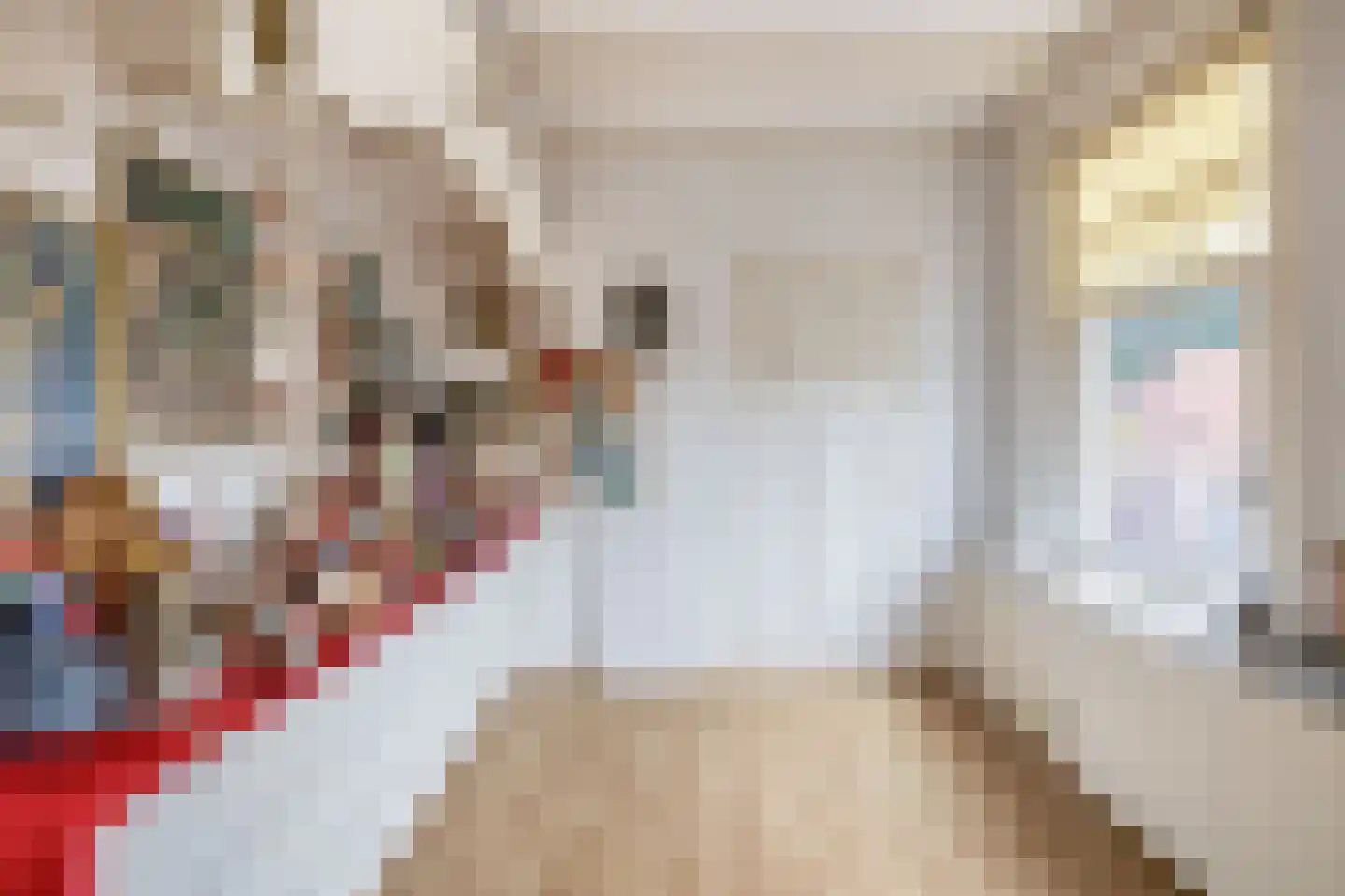 Hoflaan 47 Middelharnis thumbnail 30
