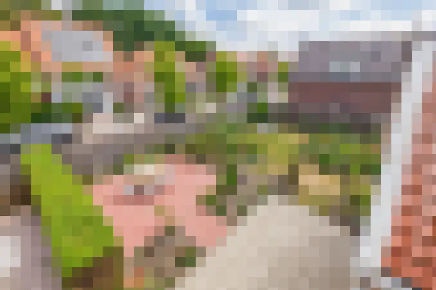 Hoflaan 47 Middelharnis thumbnail 39