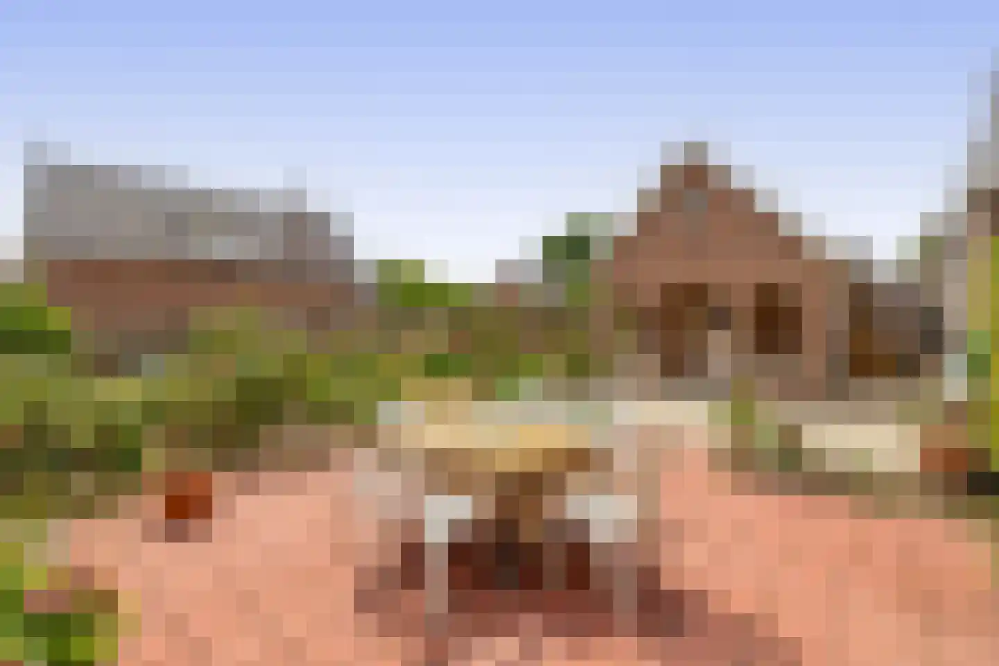 Hoflaan 47 Middelharnis thumbnail 48