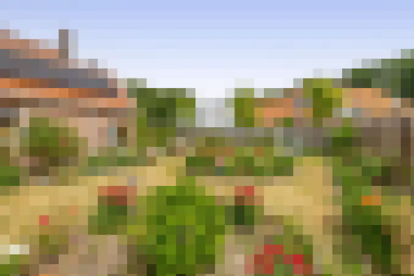 Hoflaan 47 Middelharnis thumbnail 50