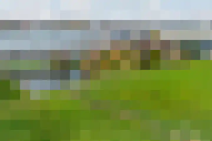 Hoflaan 5 Monster thumbnail 5