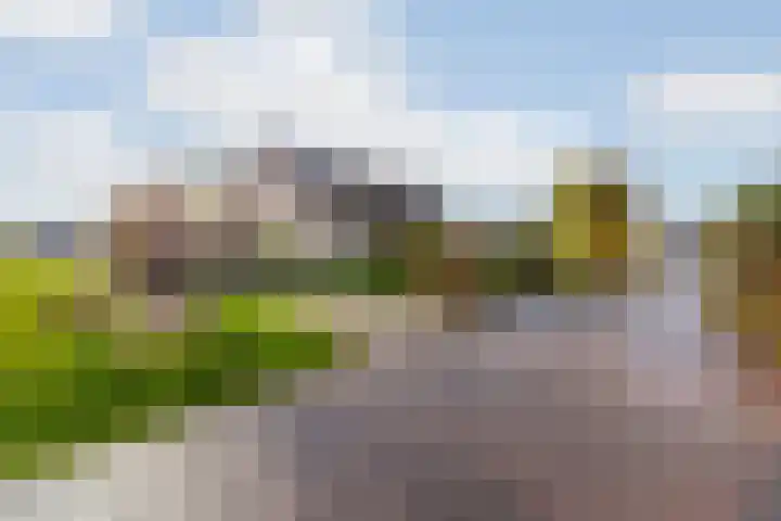 Hoflaan 5 Monster thumbnail 7
