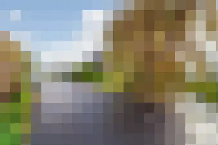 Hoflaan 5 Monster thumbnail 9