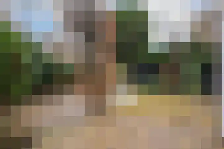 Hoflaan 5 Wassenaar thumbnail 33