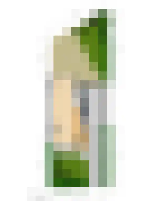 Hoflaan 5 Wassenaar thumbnail 41