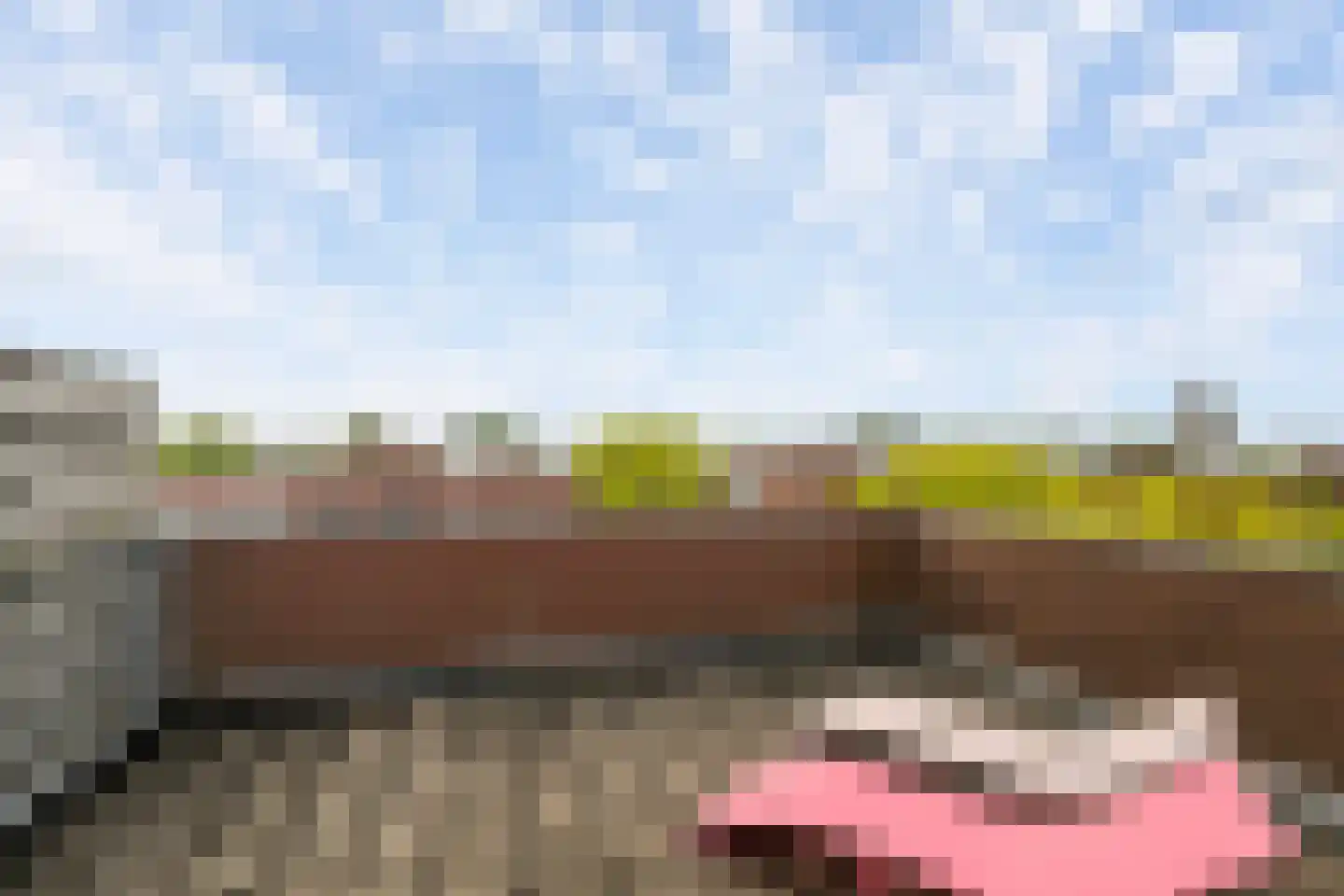 Hoflaan 66 Vlaardingen thumbnail 40
