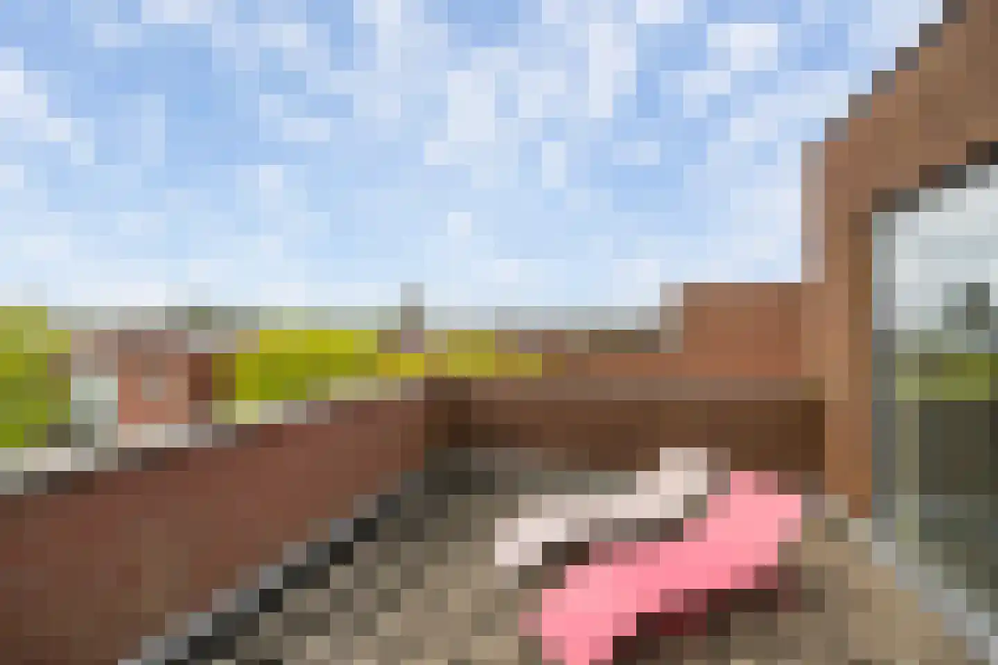 Hoflaan 66 Vlaardingen thumbnail 41