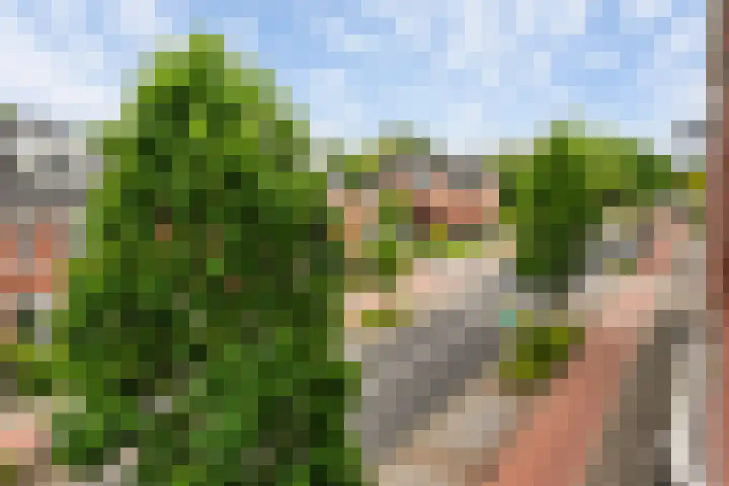 Hoflaan 66 Vlaardingen thumbnail 47