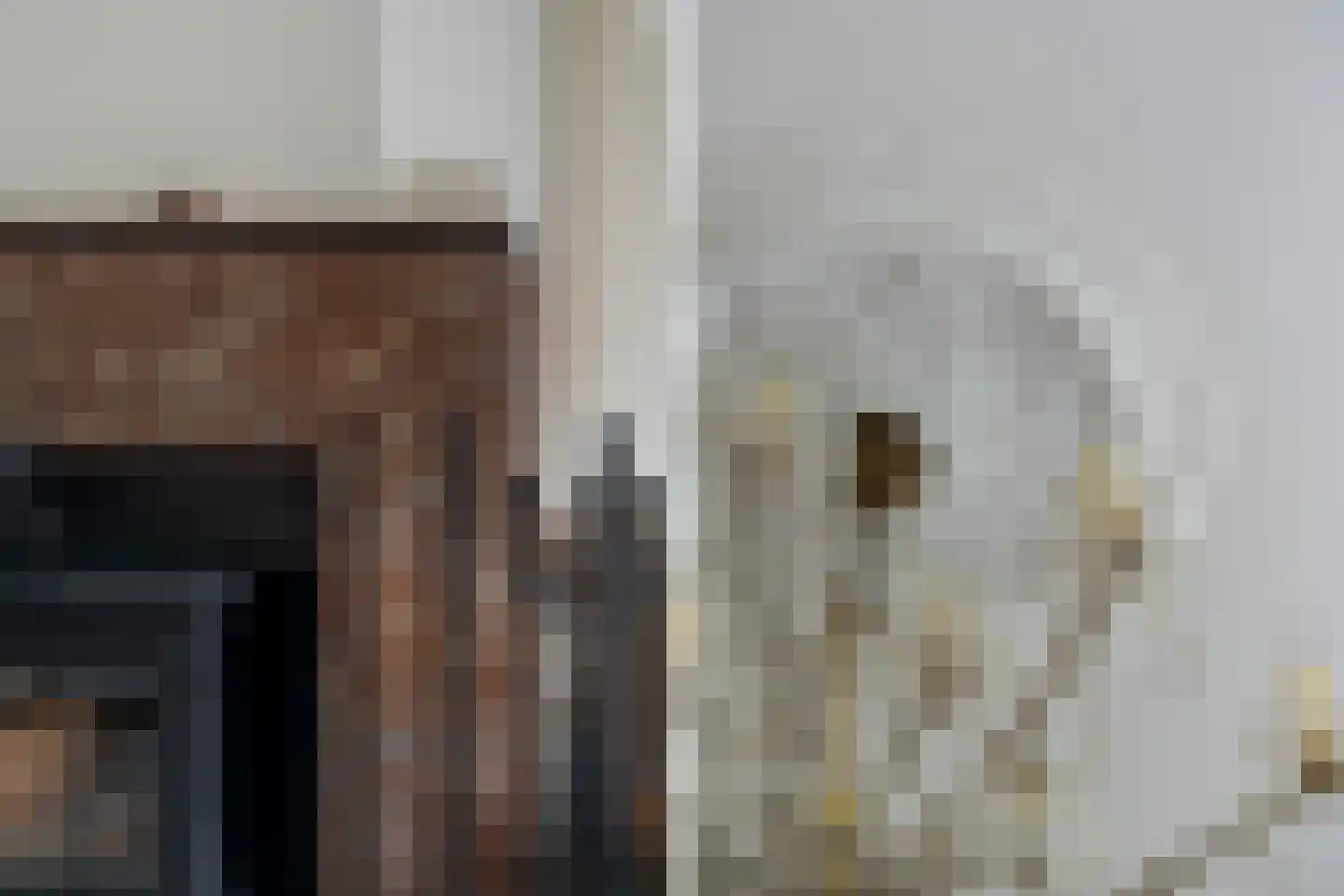 Hoflaan 69 Middelharnis thumbnail 12