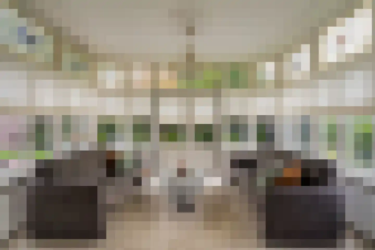 Hoflaan 69 Middelharnis thumbnail 14