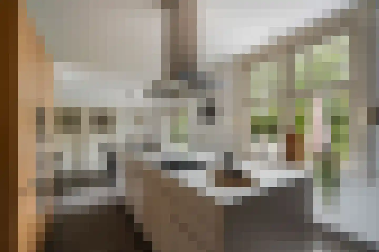 Hoflaan 69 Middelharnis thumbnail 16