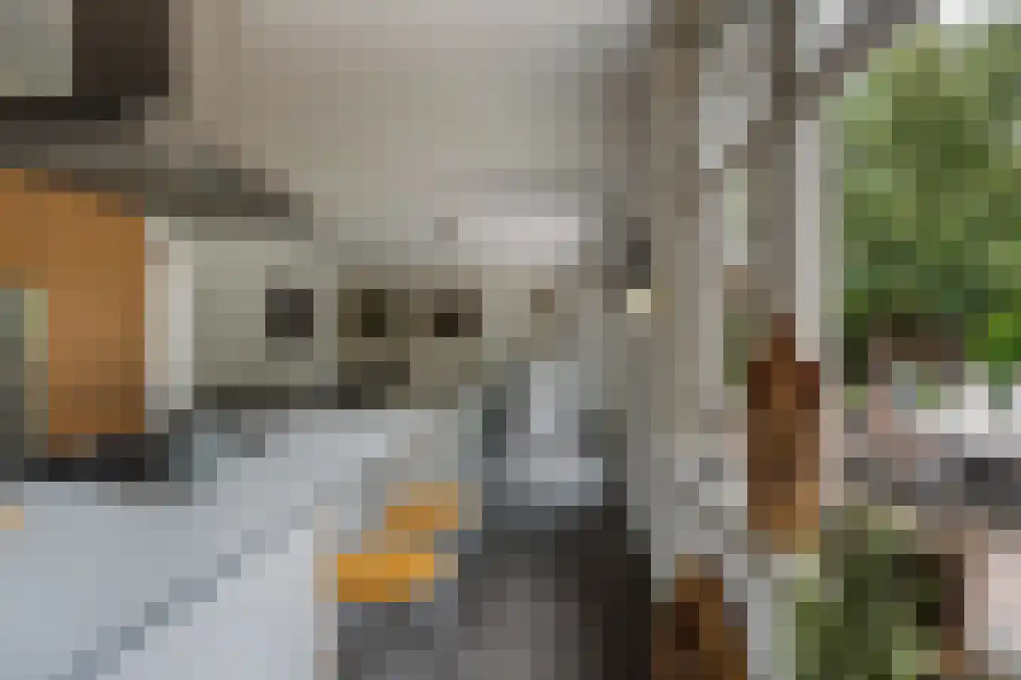 Hoflaan 69 Middelharnis thumbnail 17