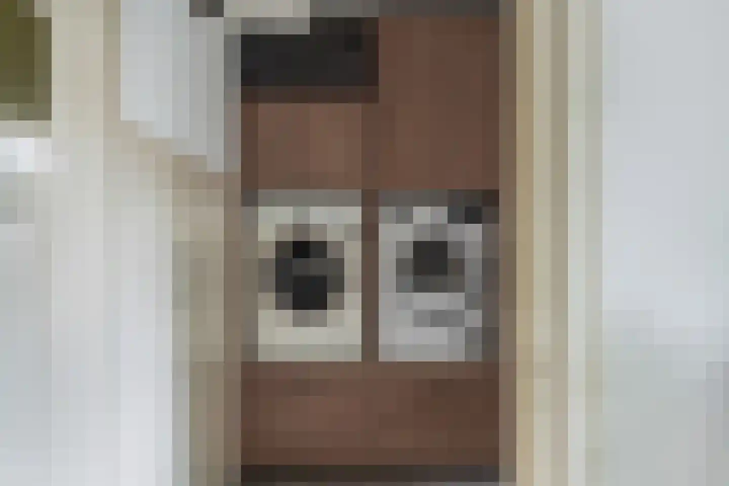 Hoflaan 69 Middelharnis thumbnail 18