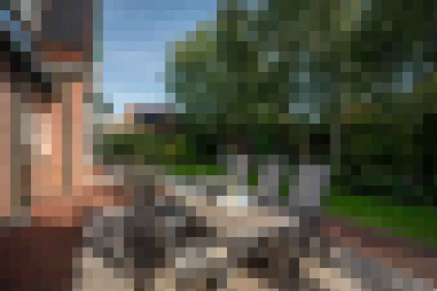 Hoflaan 69 Middelharnis thumbnail 20
