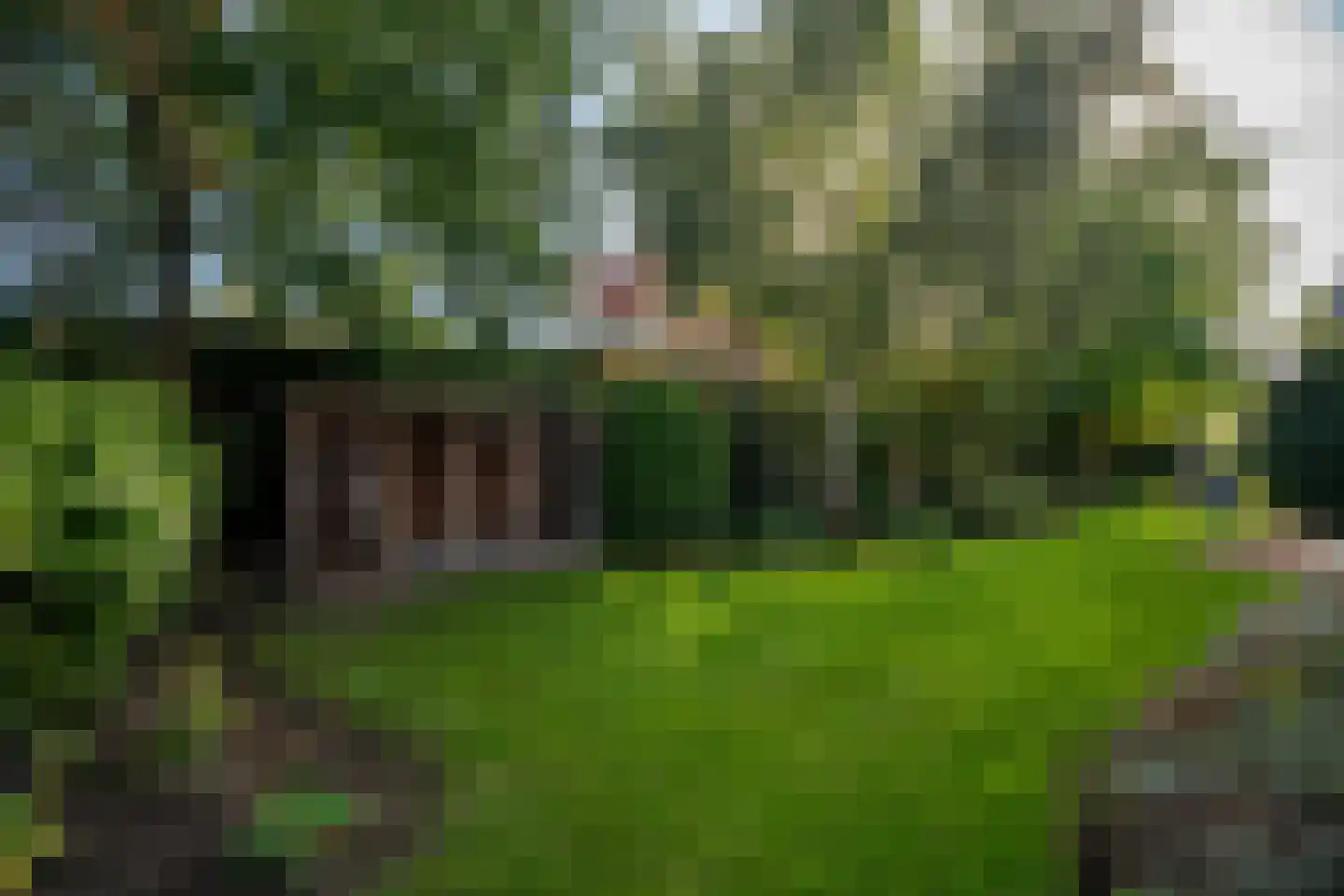 Hoflaan 69 Middelharnis thumbnail 22