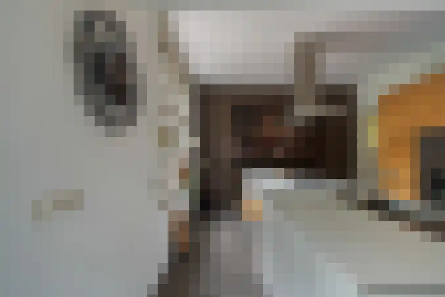 Hoflaan 69 Middelharnis thumbnail 24