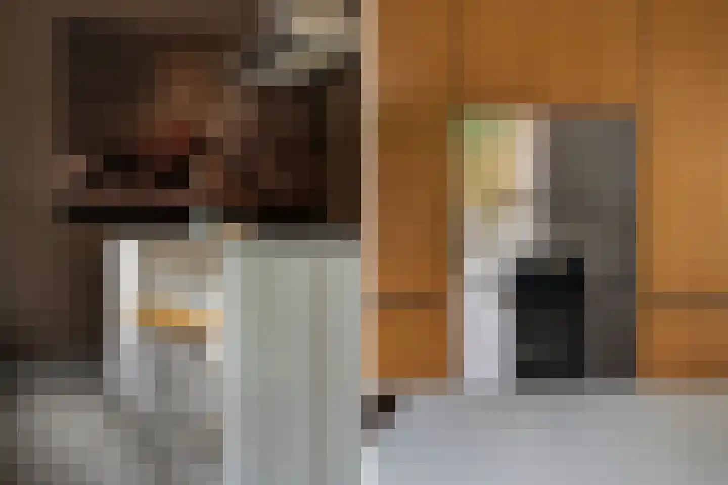 Hoflaan 69 Middelharnis thumbnail 25
