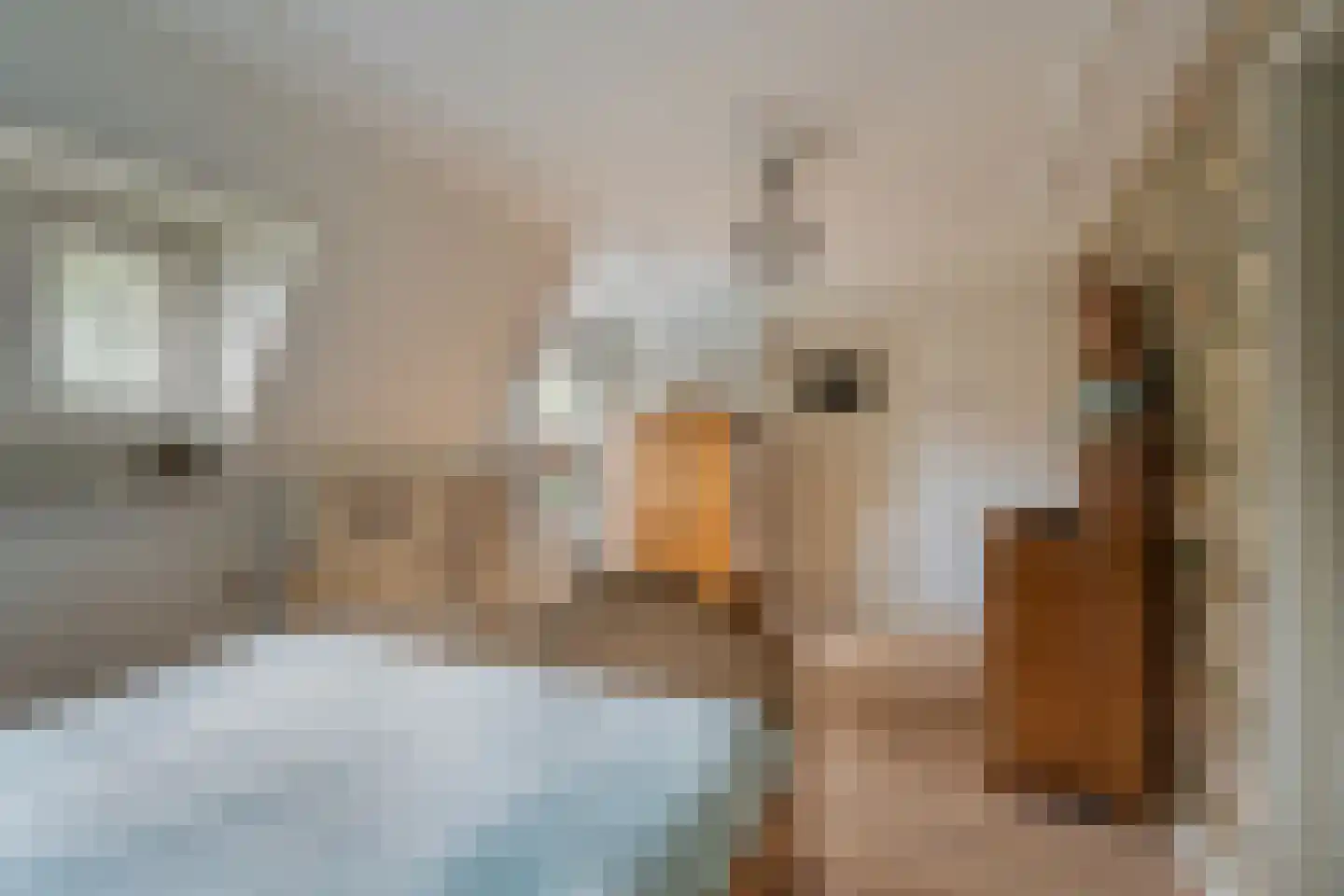 Hoflaan 69 Middelharnis thumbnail 29