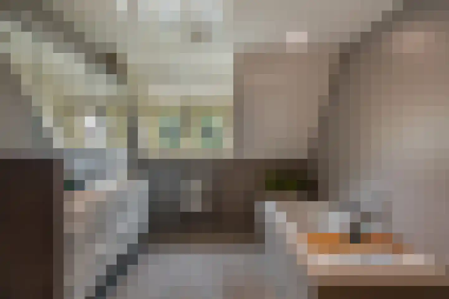 Hoflaan 69 Middelharnis thumbnail 30