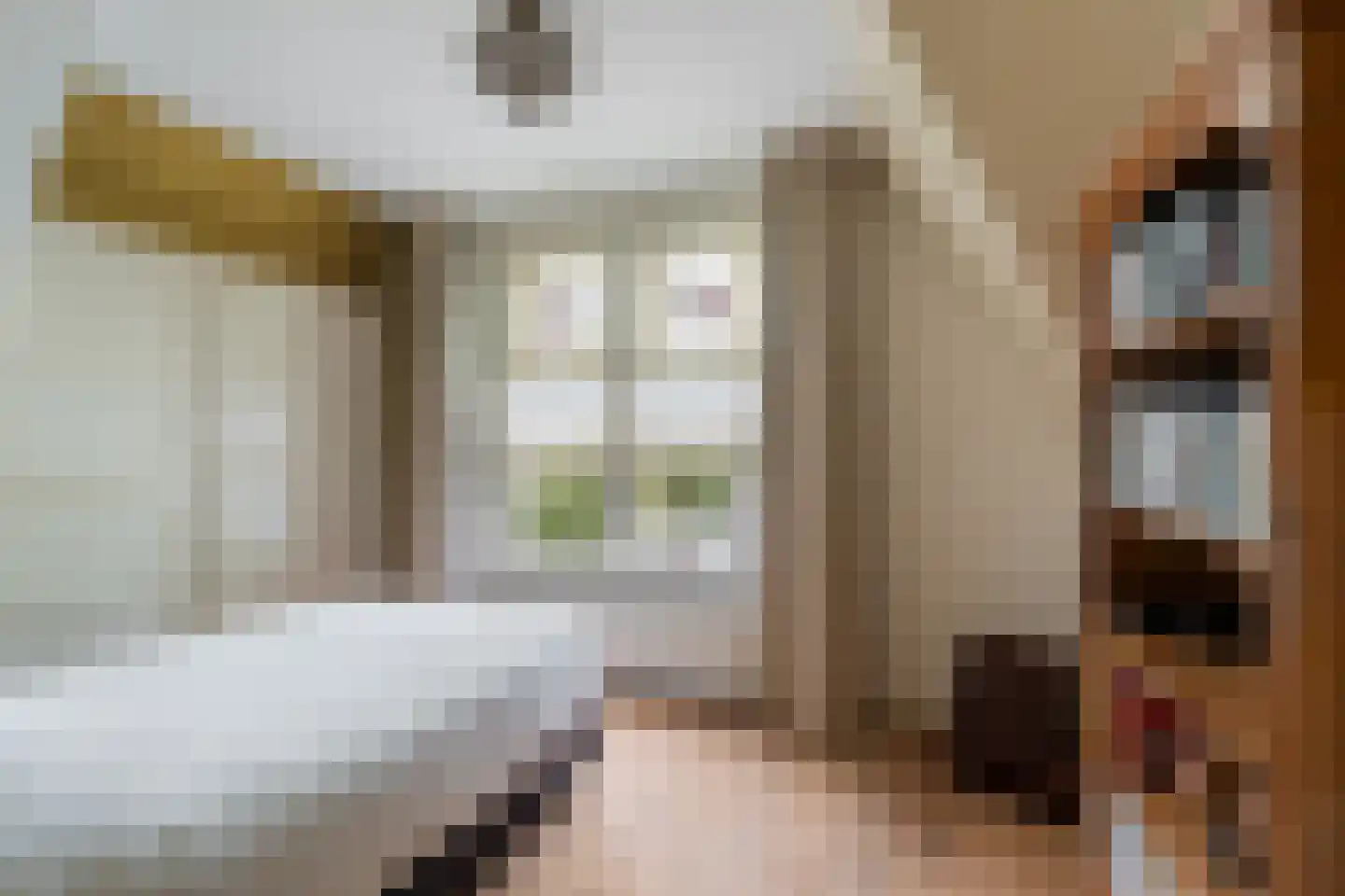 Hoflaan 69 Middelharnis thumbnail 33