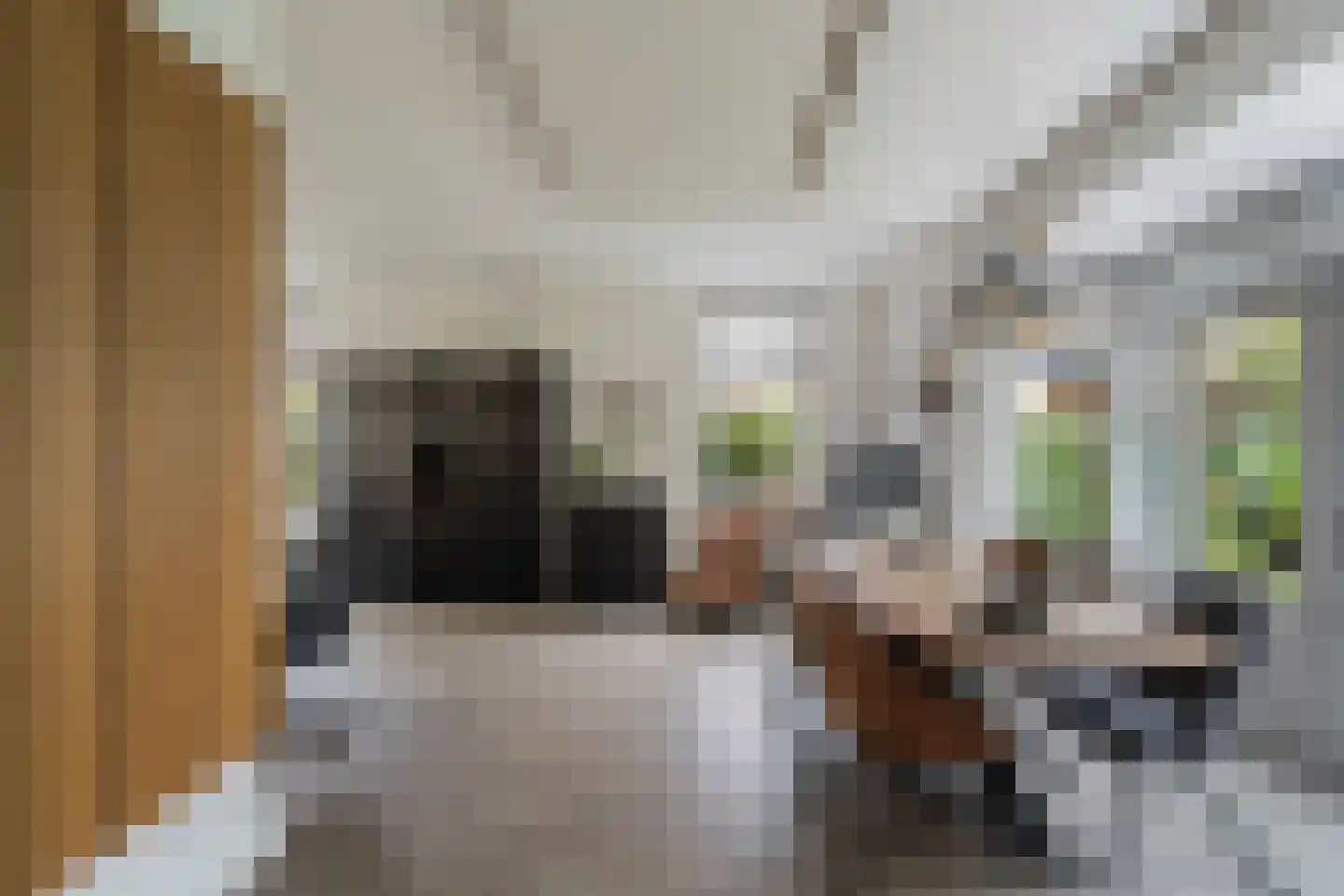 Hoflaan 69 Middelharnis thumbnail 38