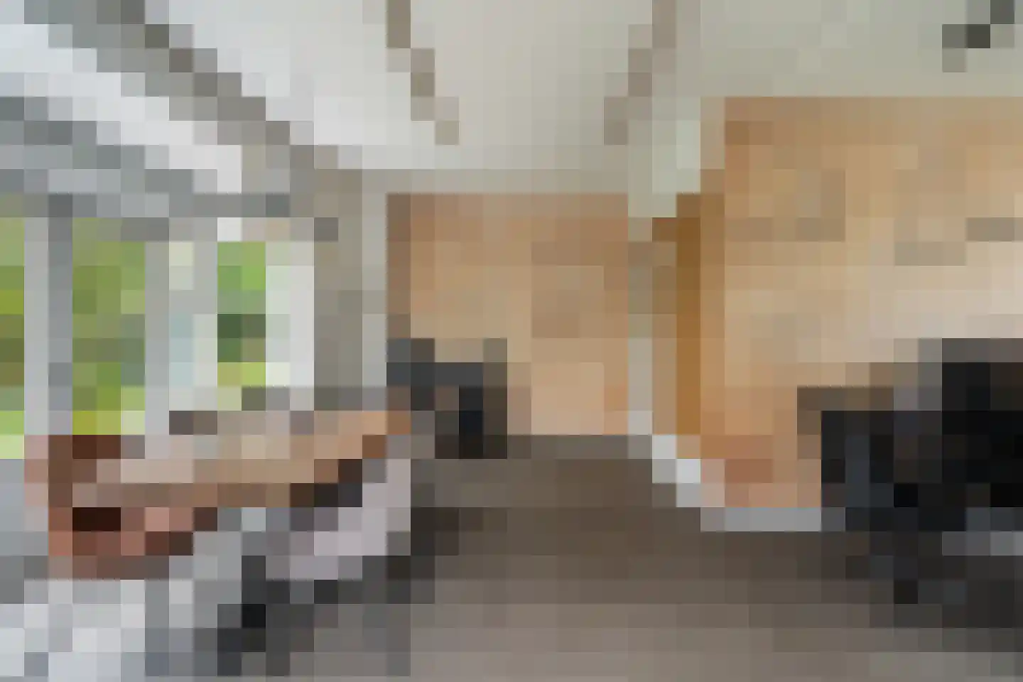Hoflaan 69 Middelharnis thumbnail 40