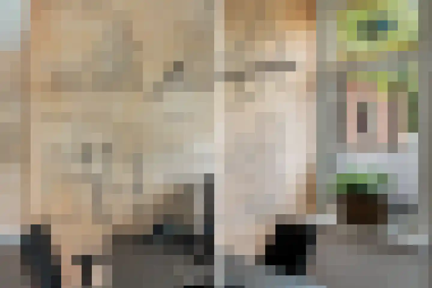Hoflaan 69 Middelharnis thumbnail 41