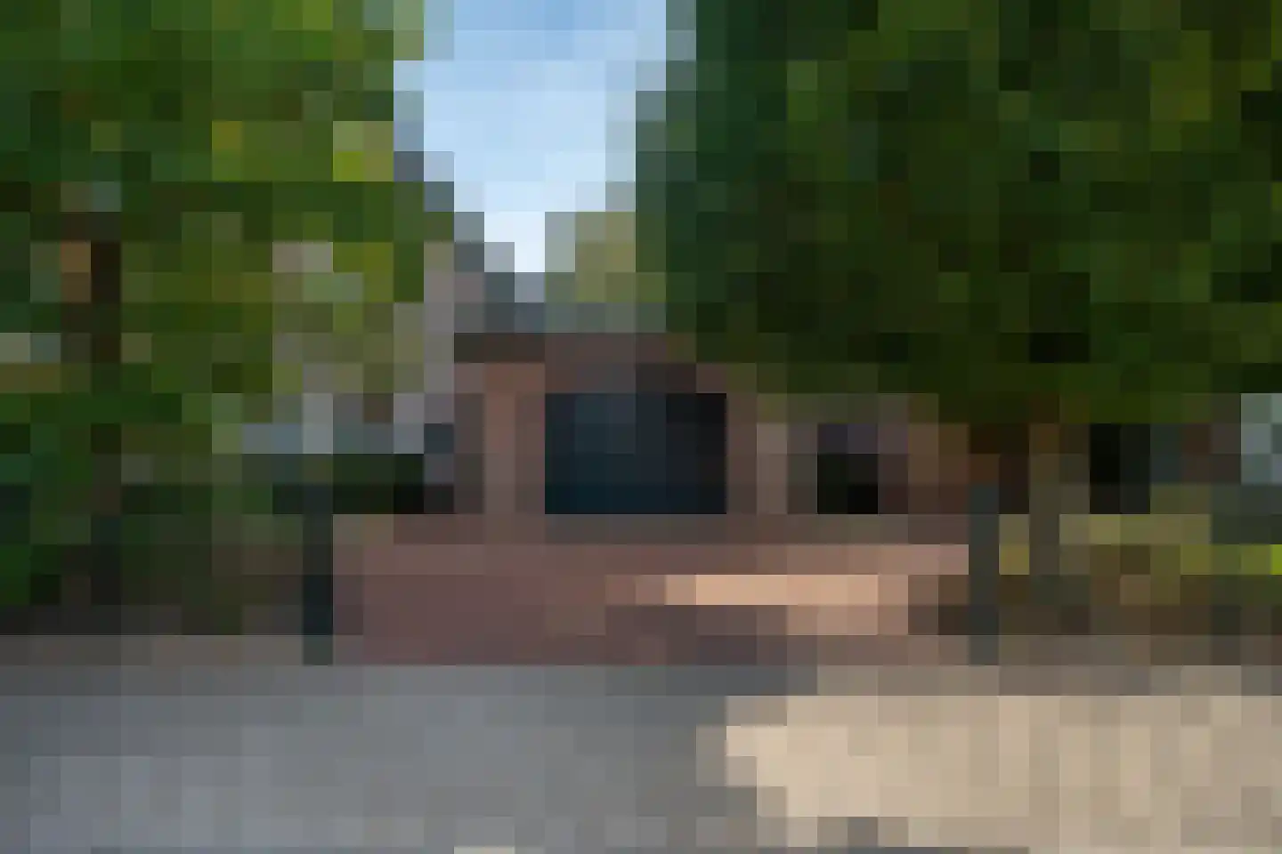 Hoflaan 69 Middelharnis thumbnail 5