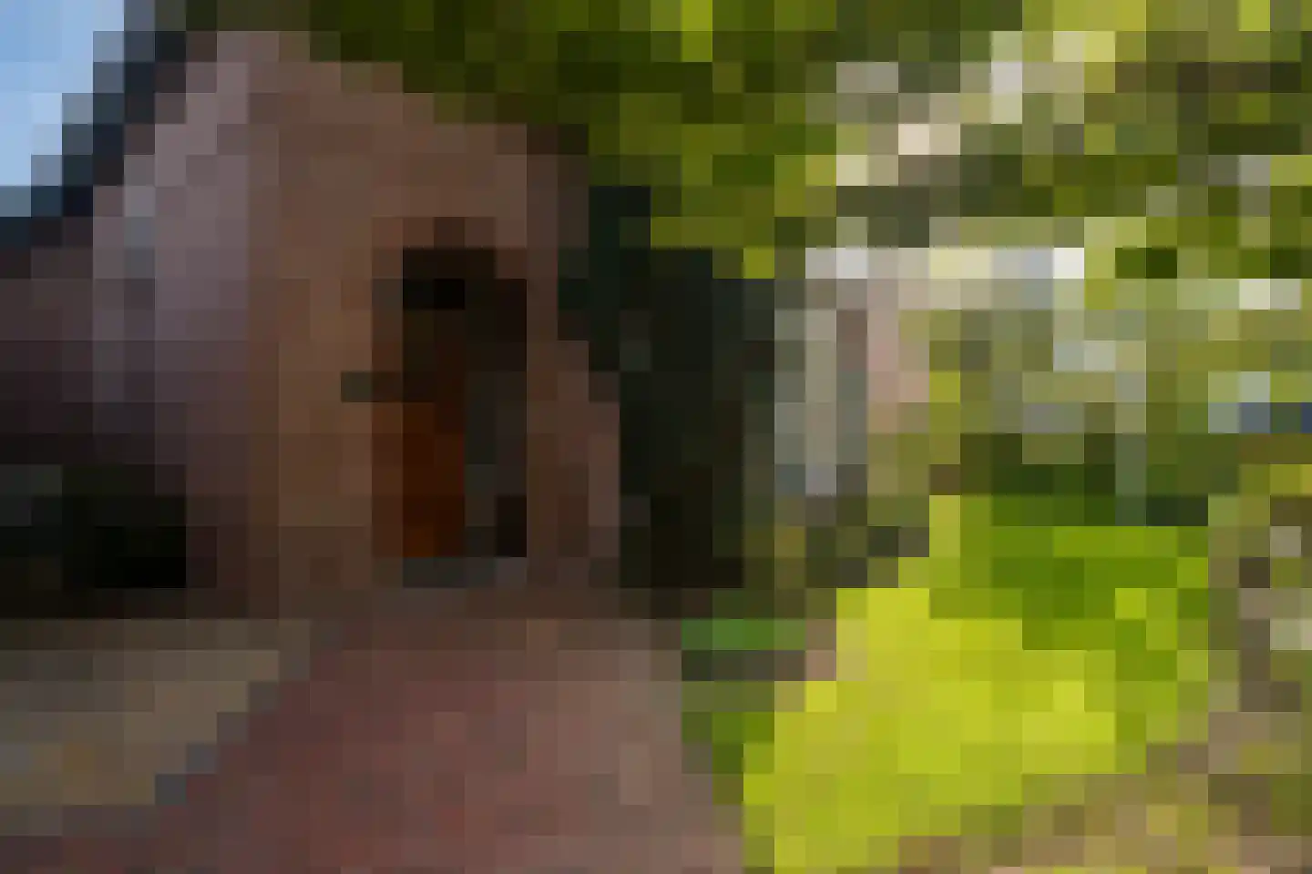 Hoflaan 69 Middelharnis thumbnail 51