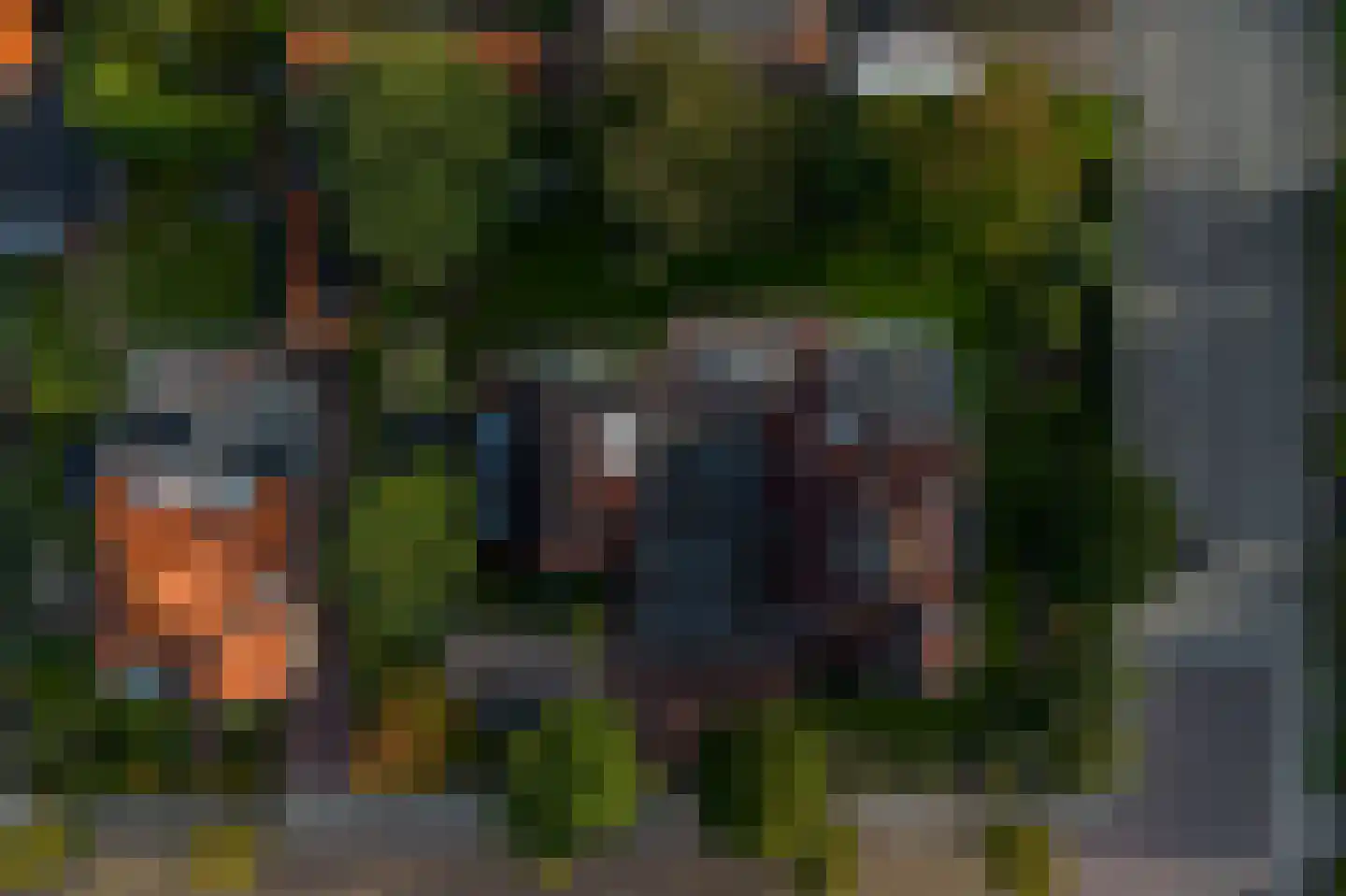 Hoflaan 69 Middelharnis thumbnail 53