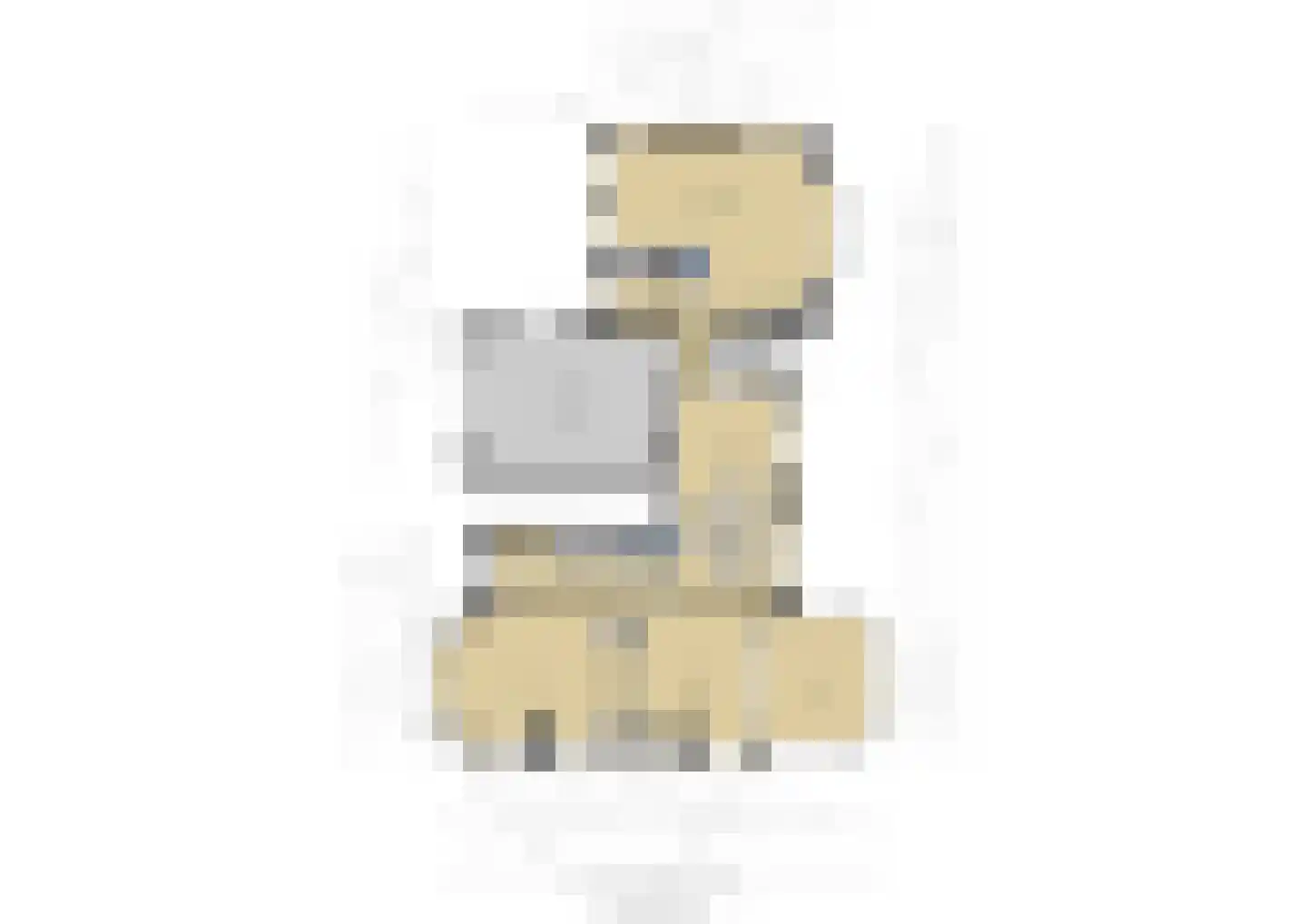 Hoflaan 69 Middelharnis thumbnail 55