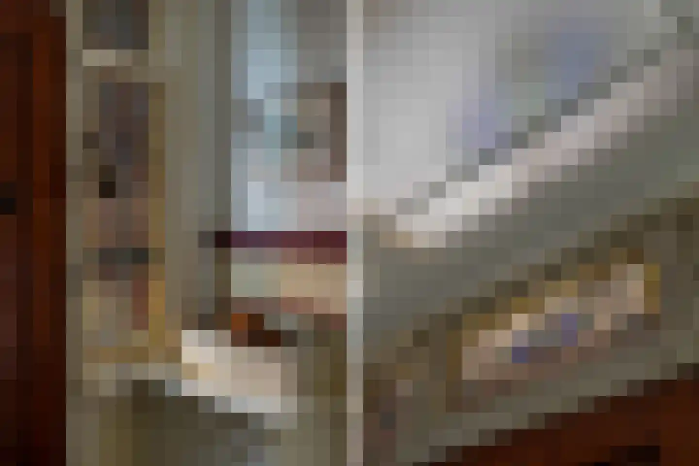 Hoflaan 69 Middelharnis thumbnail 7
