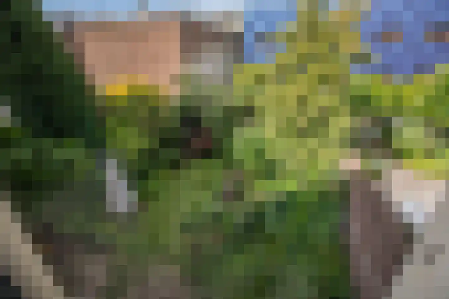 Hoflaan 7 Arnhem thumbnail 18
