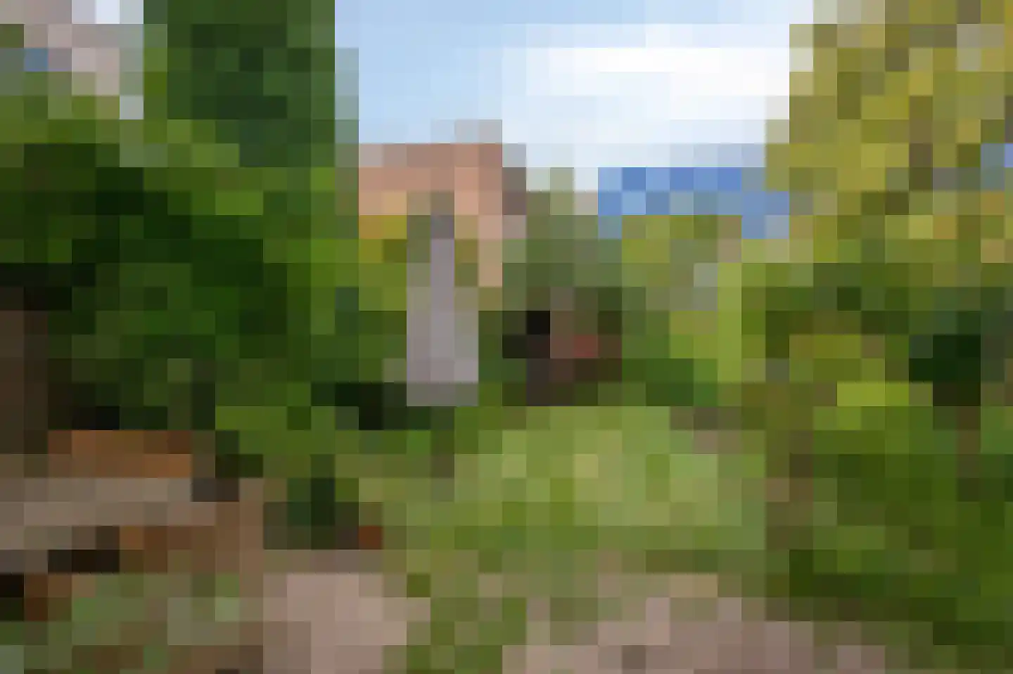 Hoflaan 7 Arnhem thumbnail 33