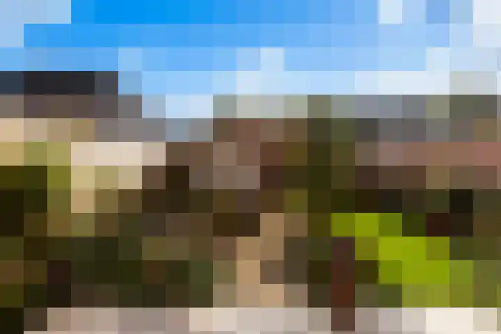Hoflaan 75 Krimpen aan den IJssel thumbnail 9