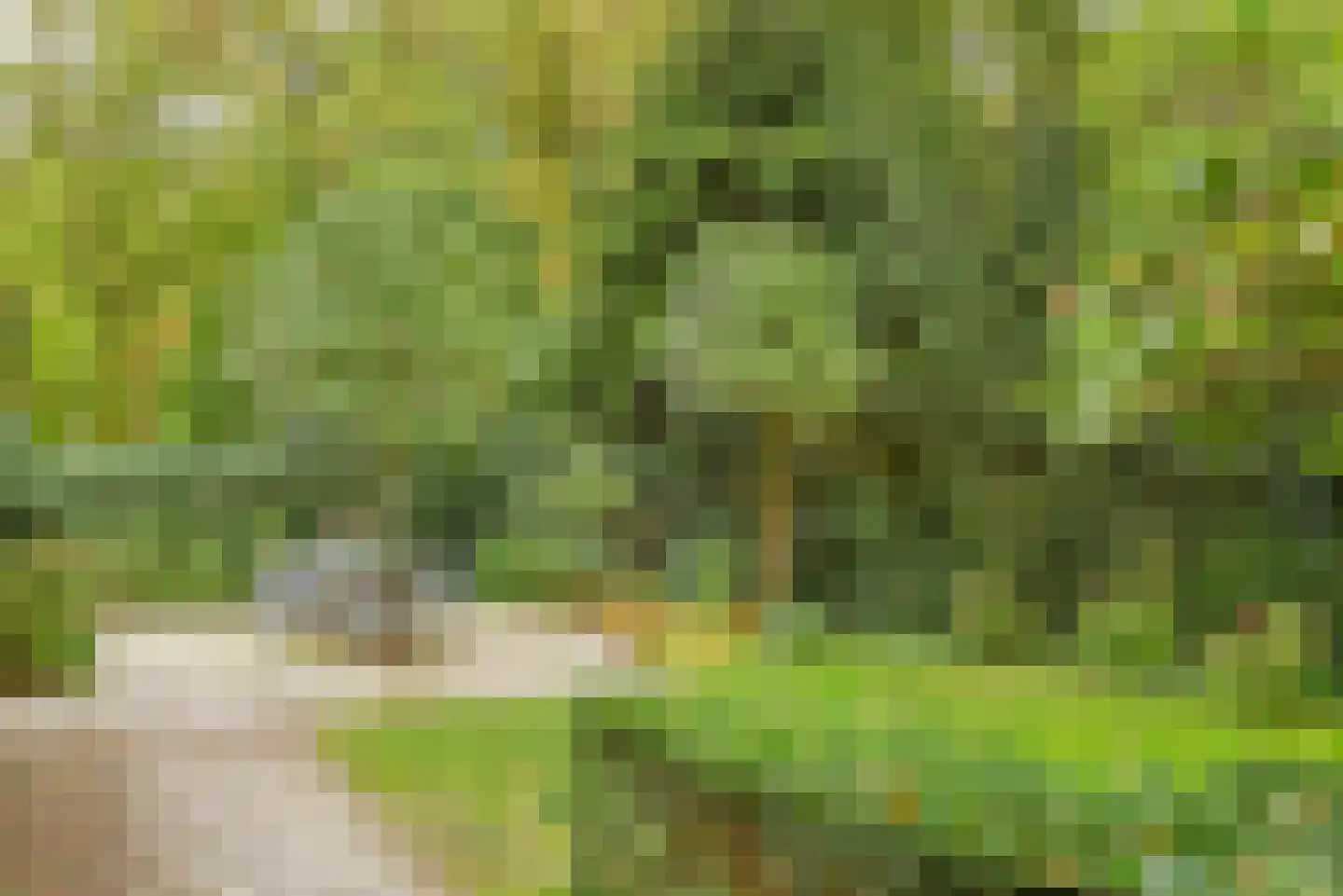 Hoflaan 8 Hilversum thumbnail 19