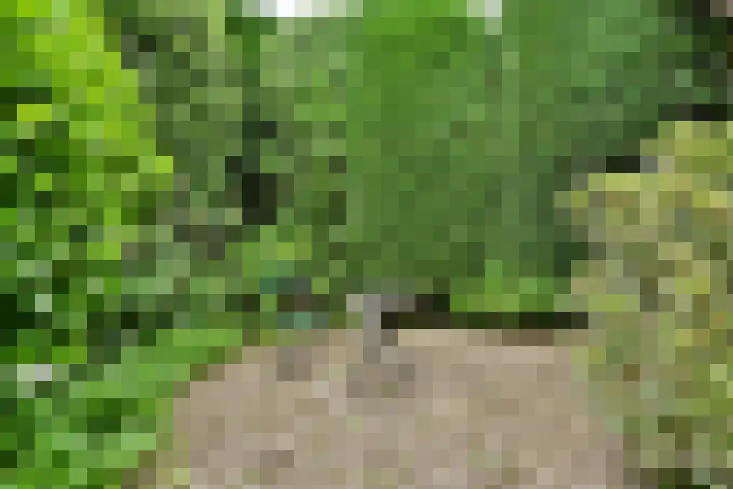 Hoflaan 8 Wassenaar thumbnail 11